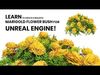Deep Orange and French marigold Marigolds with free tutorial Low-poly 3D model_2