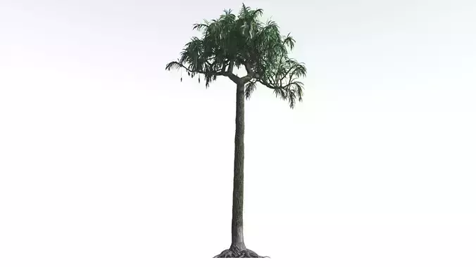 EVERYPlant Lepidodendron Scale Tree 1 --12 Models-- 3D model