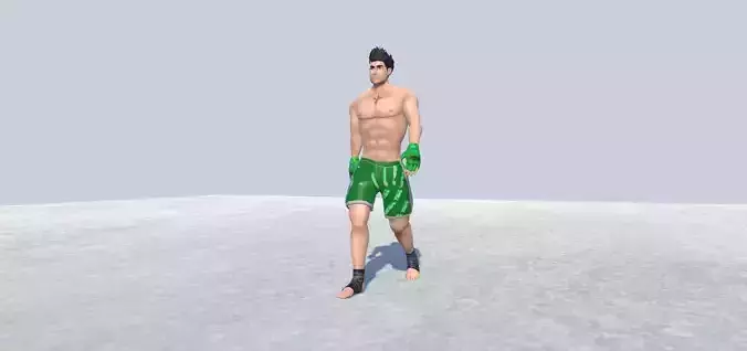 MMA avatar 2 Rigged  Low-poly 3D model
