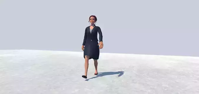 air hosts Rigged  3D model