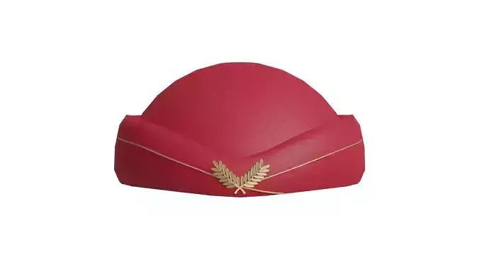 Stewardess Hat