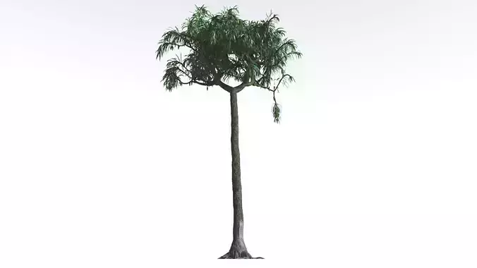 EVERYPlant Lepidodendron Scale Tree 2 --12 Models-- 3D model