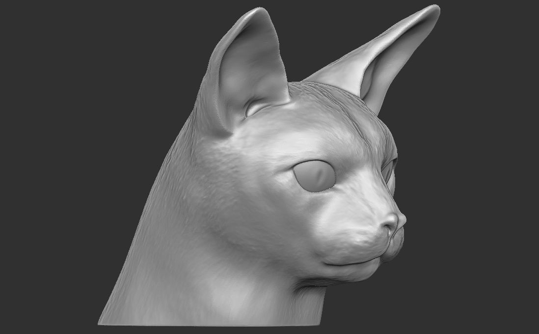 Abyssinian cat head for 3D printing 3D print model_7