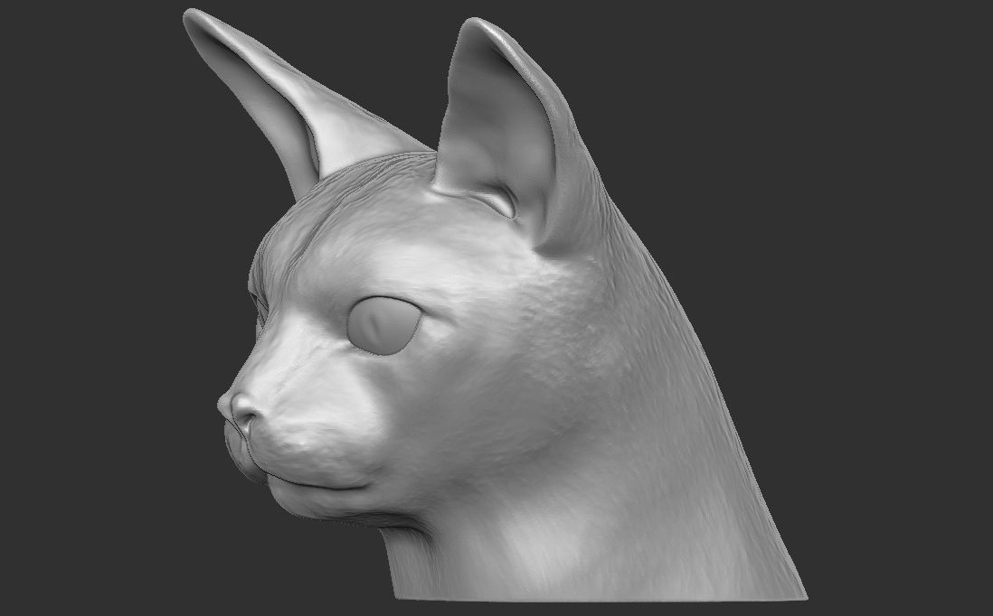 Abyssinian cat head for 3D printing 3D print model_13