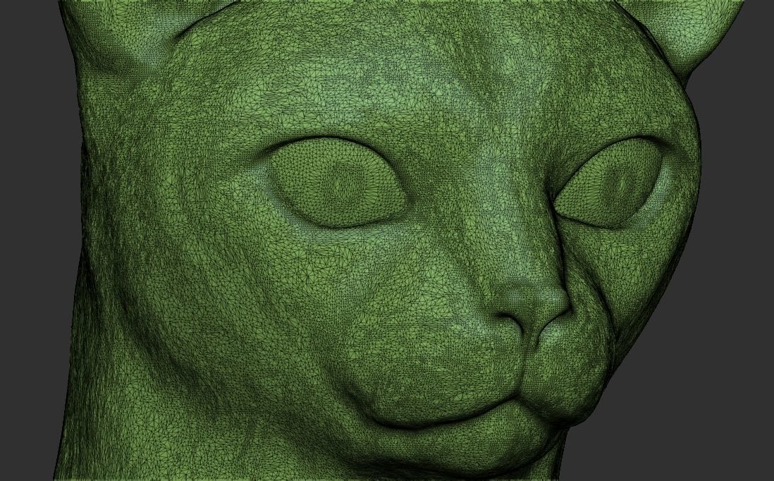 Abyssinian cat head for 3D printing 3D print model_24