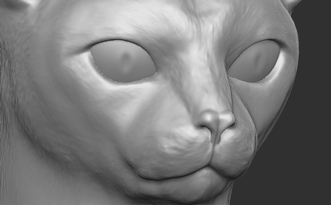 Abyssinian cat head for 3D printing 3D print model_17