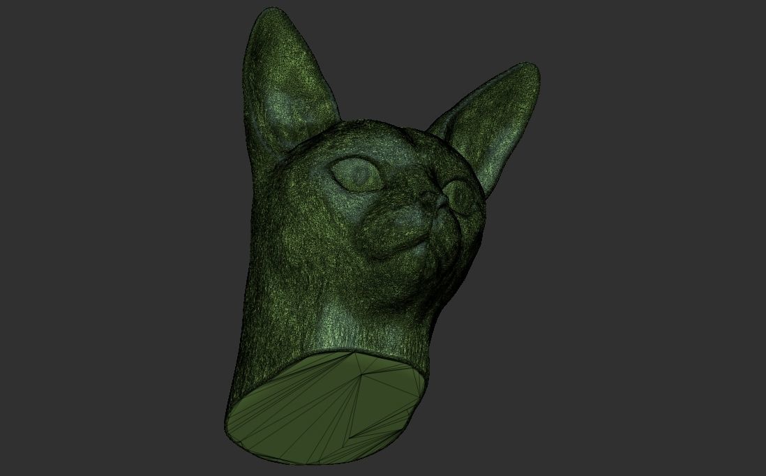 Abyssinian cat head for 3D printing 3D print model_25