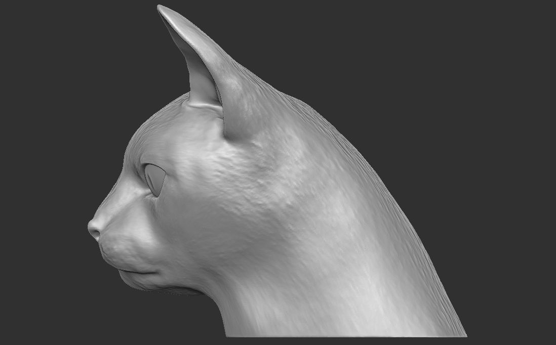 Abyssinian cat head for 3D printing 3D print model_12