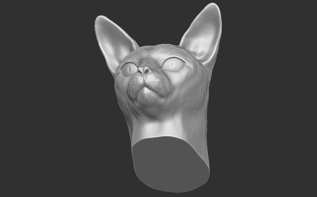 Abyssinian cat head for 3D printing 3D print model_20