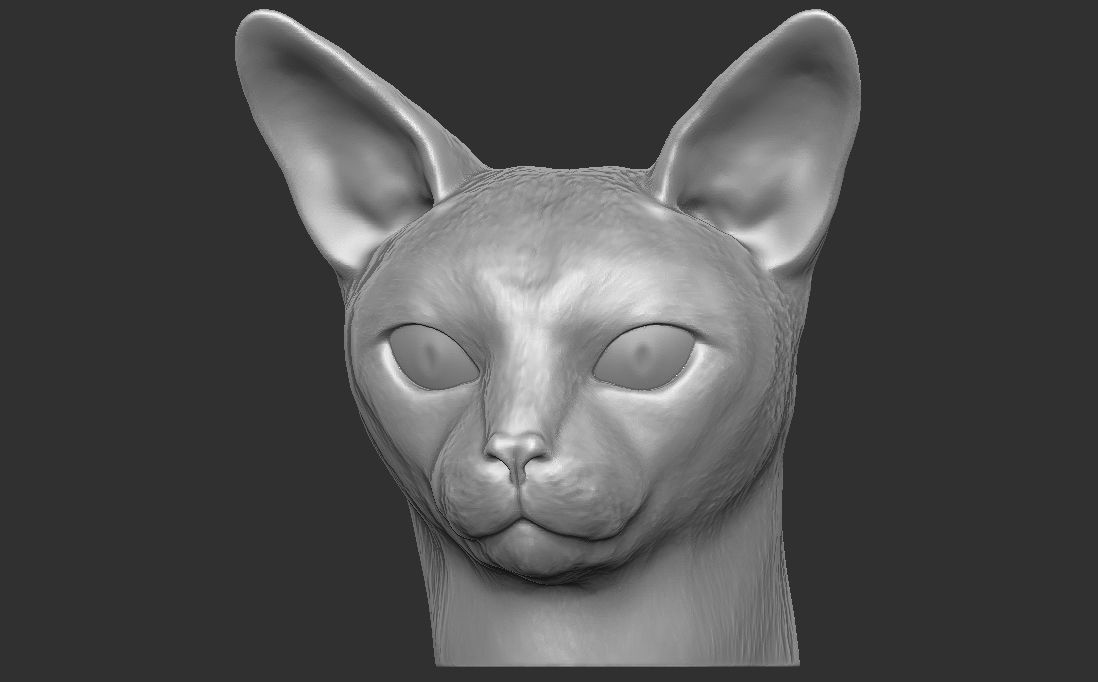 Abyssinian cat head for 3D printing 3D print model_3