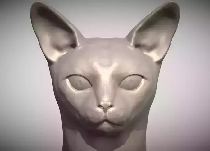 Abyssinian cat head for 3D printing 3D print model