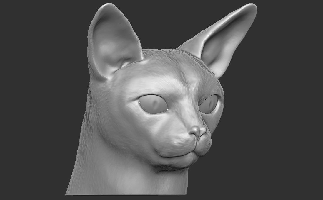 Abyssinian cat head for 3D printing 3D print model_6