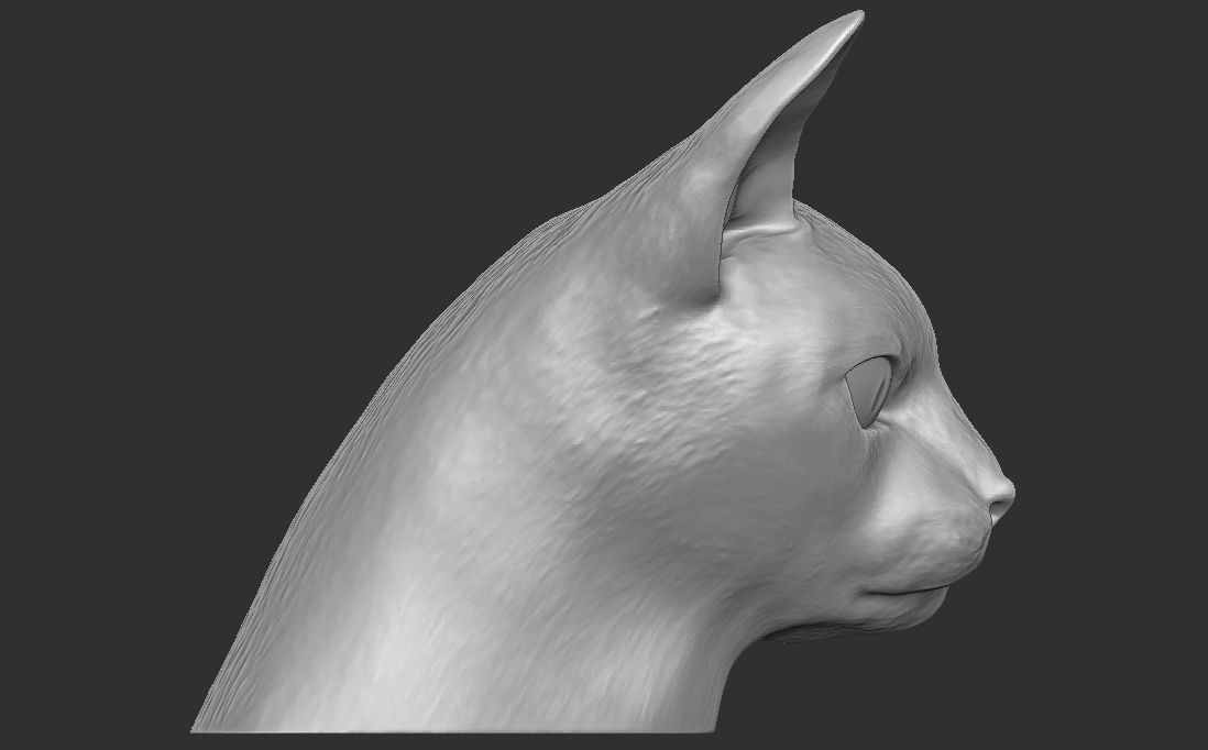 Abyssinian cat head for 3D printing 3D print model_8