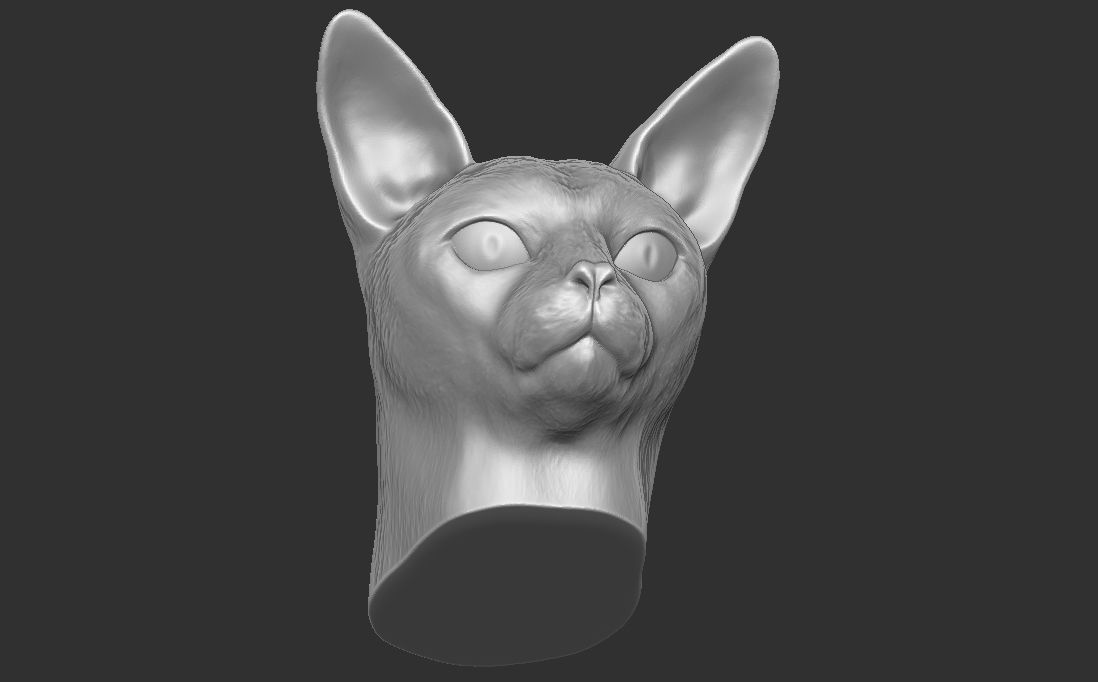 Abyssinian cat head for 3D printing 3D print model_19