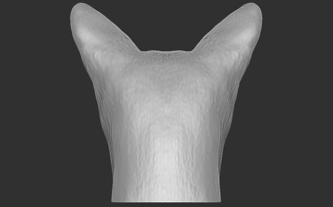 Abyssinian cat head for 3D printing 3D print model_10