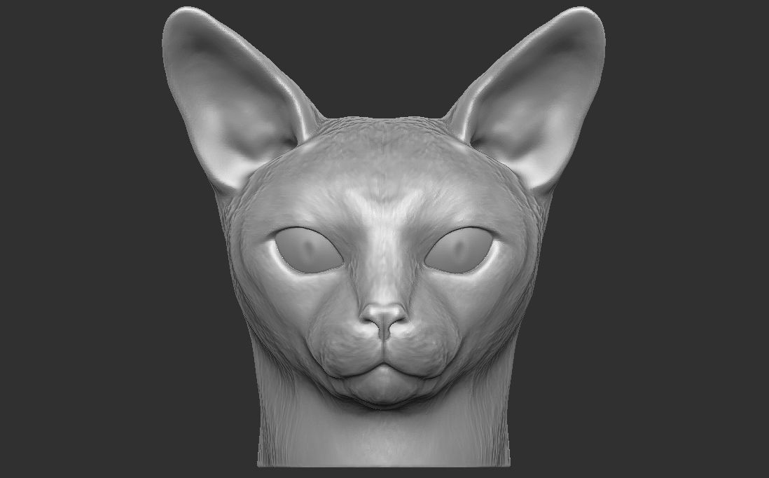 Abyssinian cat head for 3D printing 3D print model_4