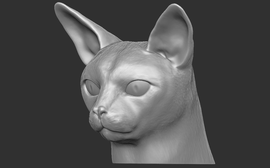 Abyssinian cat head for 3D printing 3D print model_14