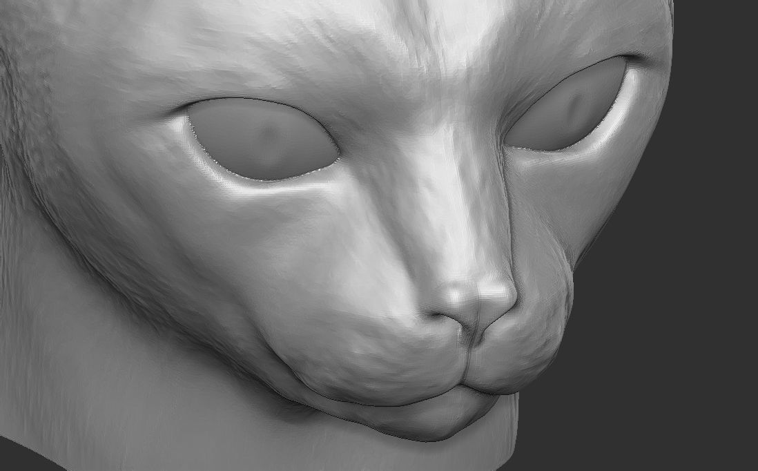 Abyssinian cat head for 3D printing 3D print model_18