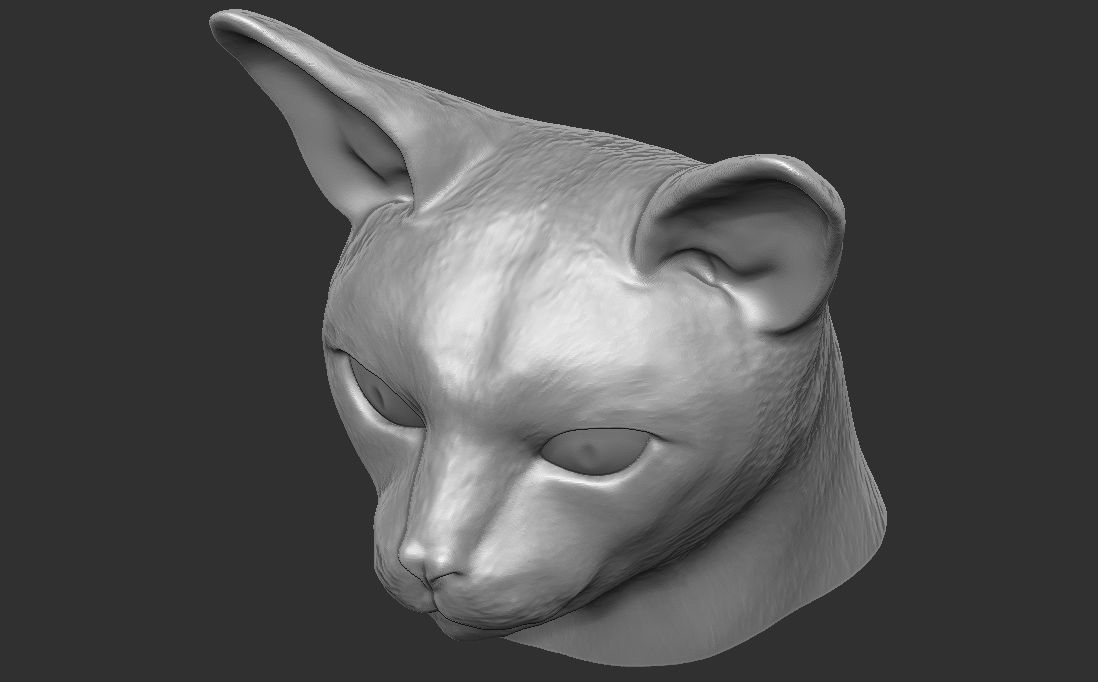 Abyssinian cat head for 3D printing 3D print model_22