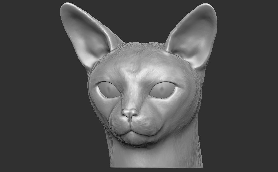 Abyssinian cat head for 3D printing 3D print model_15