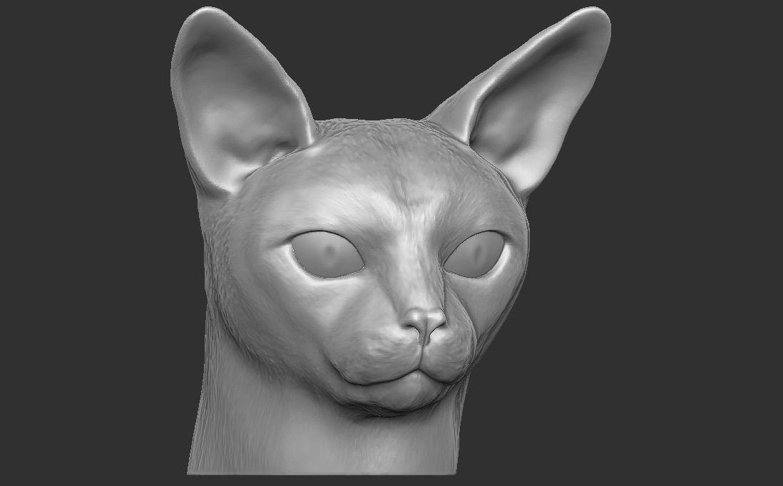 Abyssinian cat head for 3D printing 3D print model_5