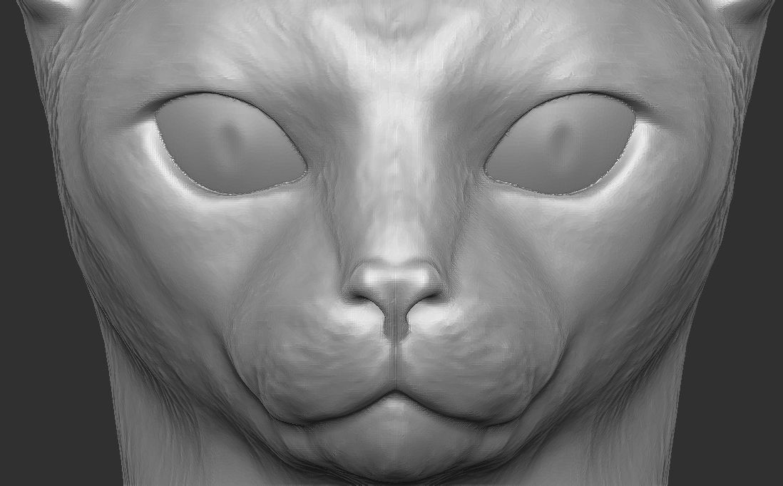Abyssinian cat head for 3D printing 3D print model_16