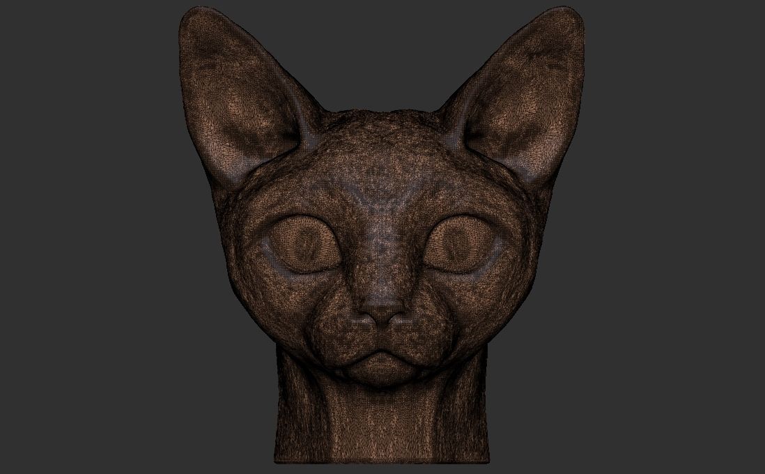 Devon Rex cat head for 3D printing 3D print model_24