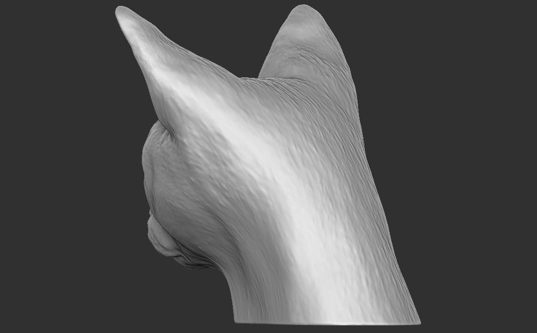 Devon Rex cat head for 3D printing 3D print model_10