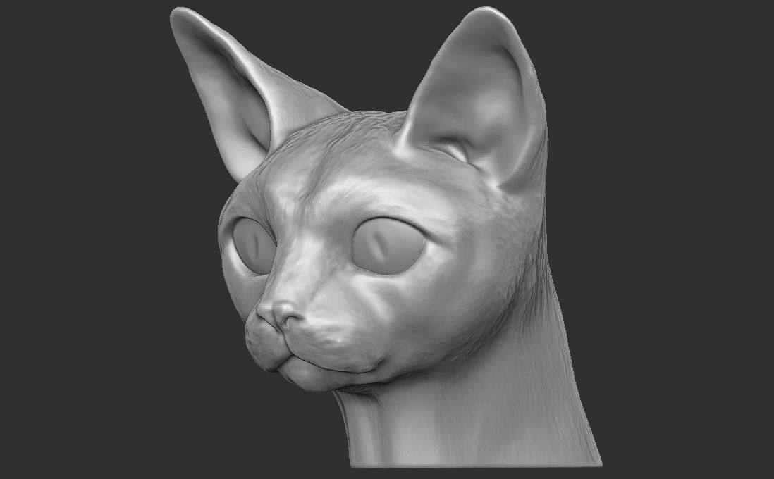 Devon Rex cat head for 3D printing 3D print model_13