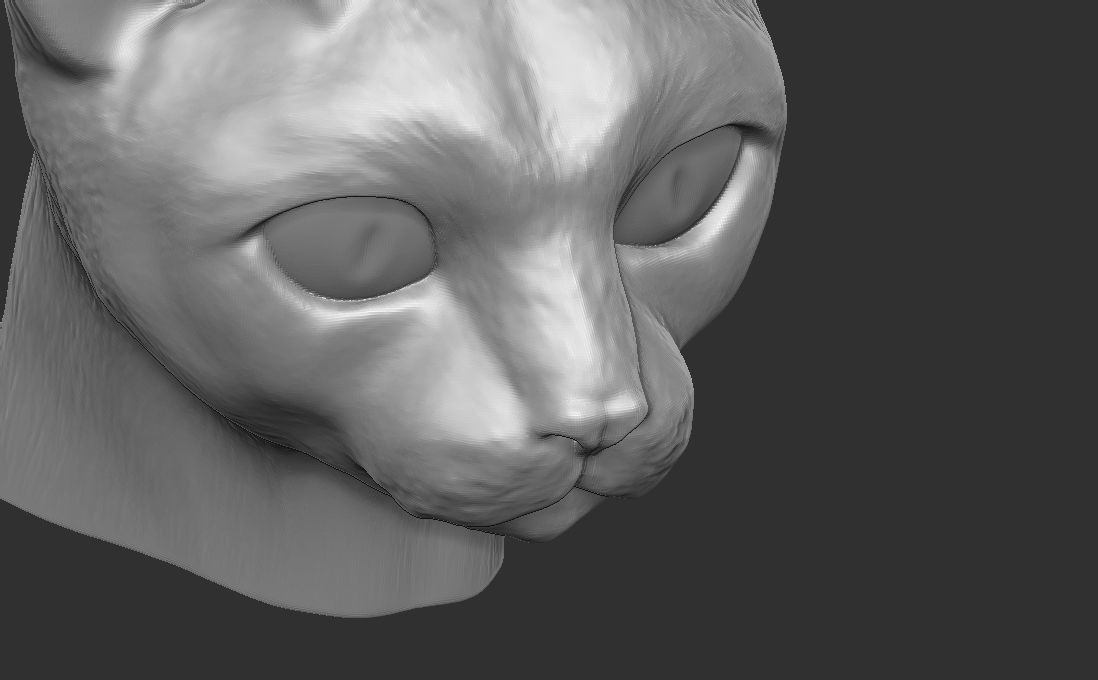 Devon Rex cat head for 3D printing 3D print model_18