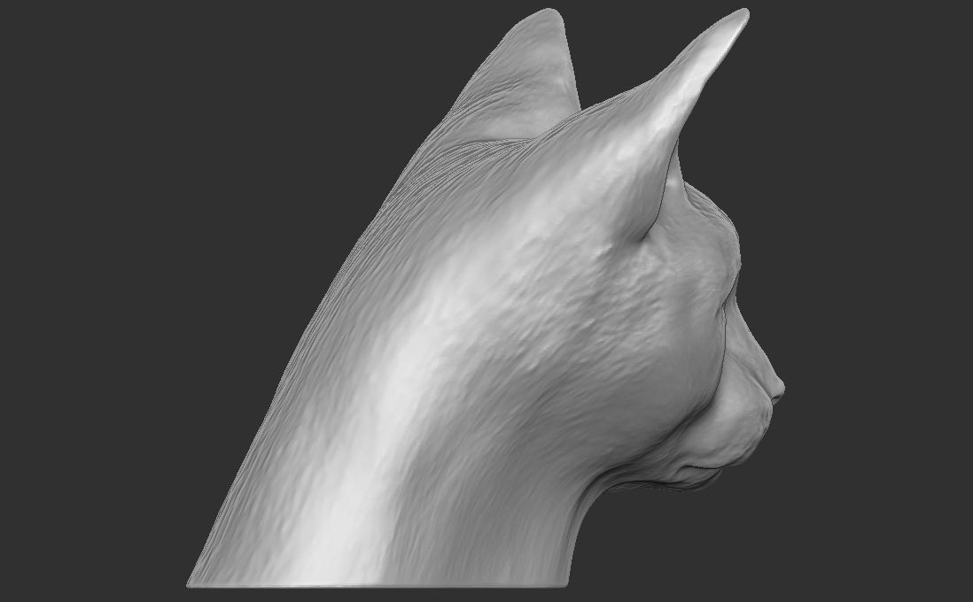 Devon Rex cat head for 3D printing 3D print model_8