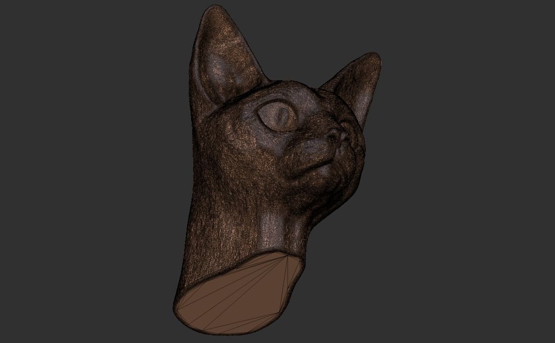 Devon Rex cat head for 3D printing 3D print model_26