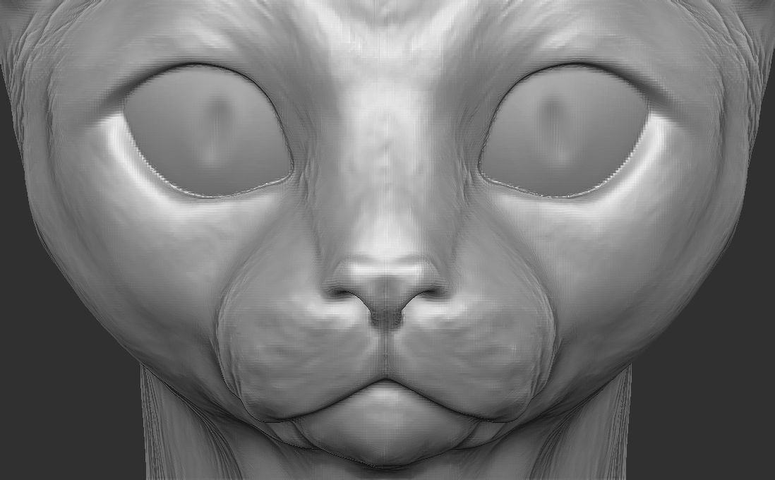Devon Rex cat head for 3D printing 3D print model_15