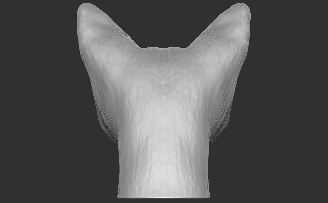 Devon Rex cat head for 3D printing 3D print model_9
