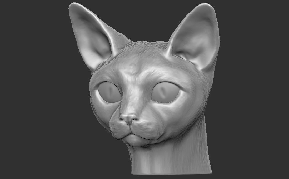 Devon Rex cat head for 3D printing 3D print model_14
