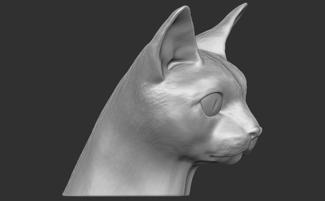 Devon Rex cat head for 3D printing 3D print model_6