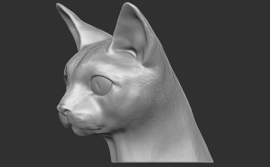 Devon Rex cat head for 3D printing 3D print model_12