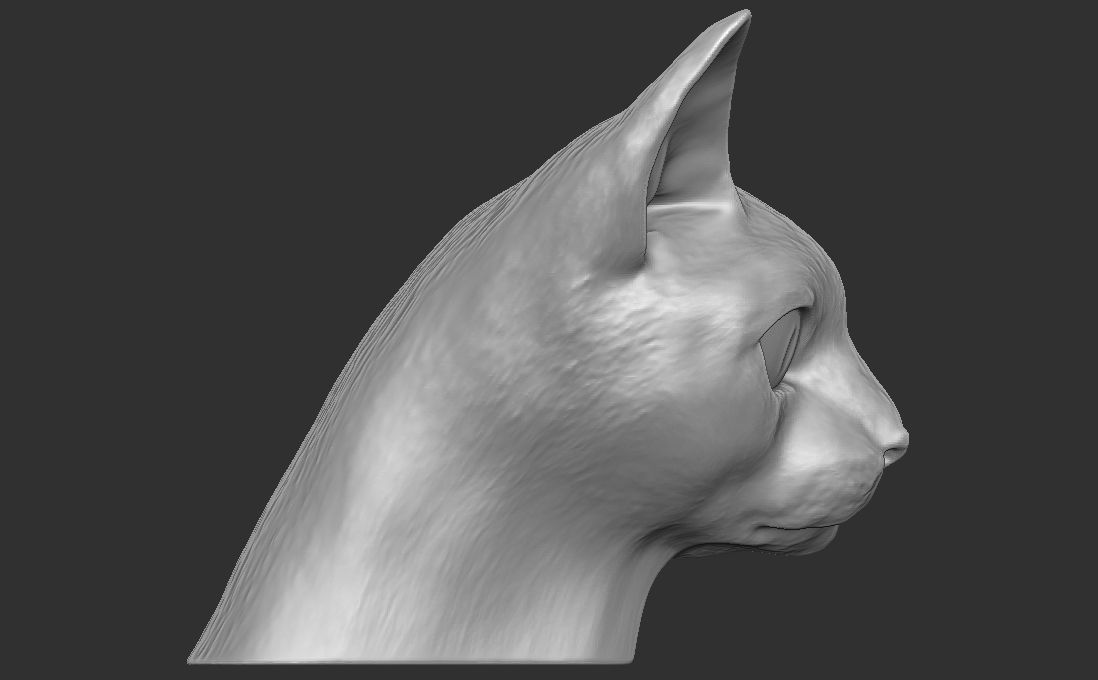 Devon Rex cat head for 3D printing 3D print model_7