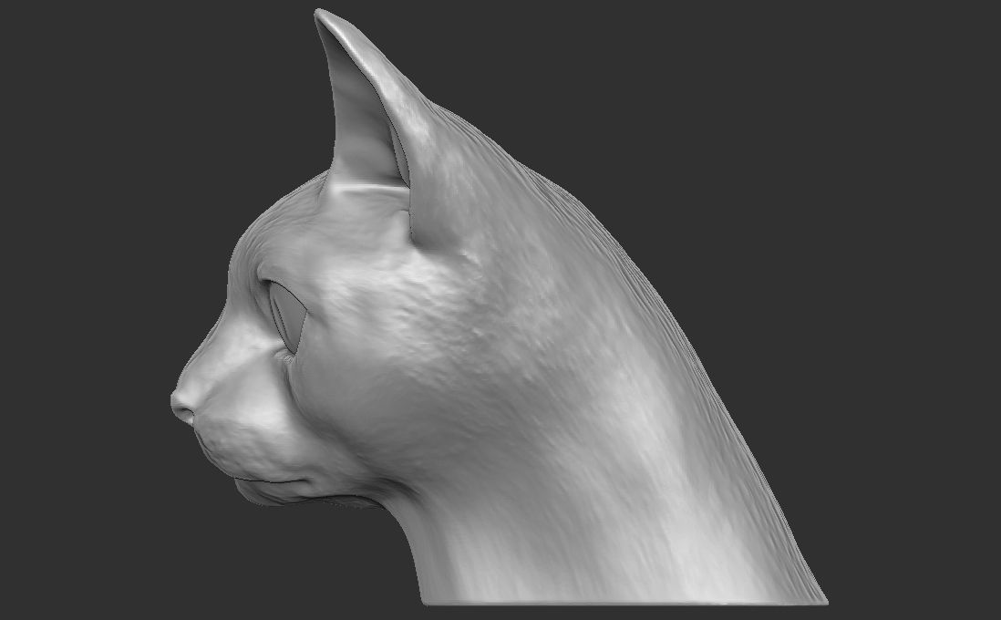 Devon Rex cat head for 3D printing 3D print model_11