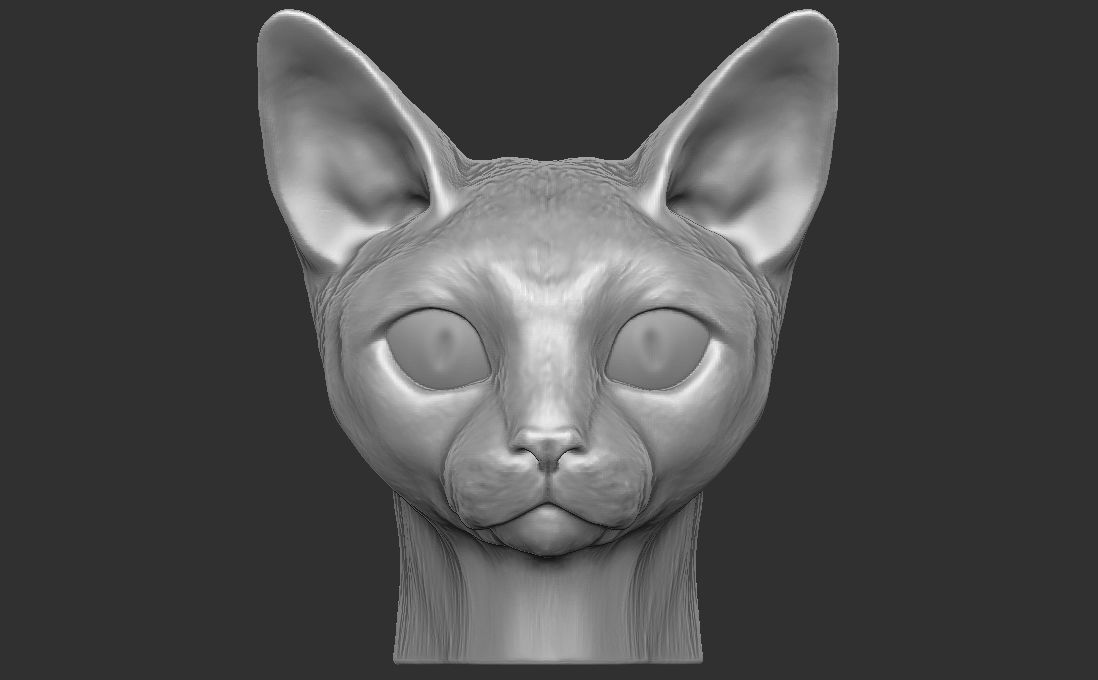 Devon Rex cat head for 3D printing 3D print model_4