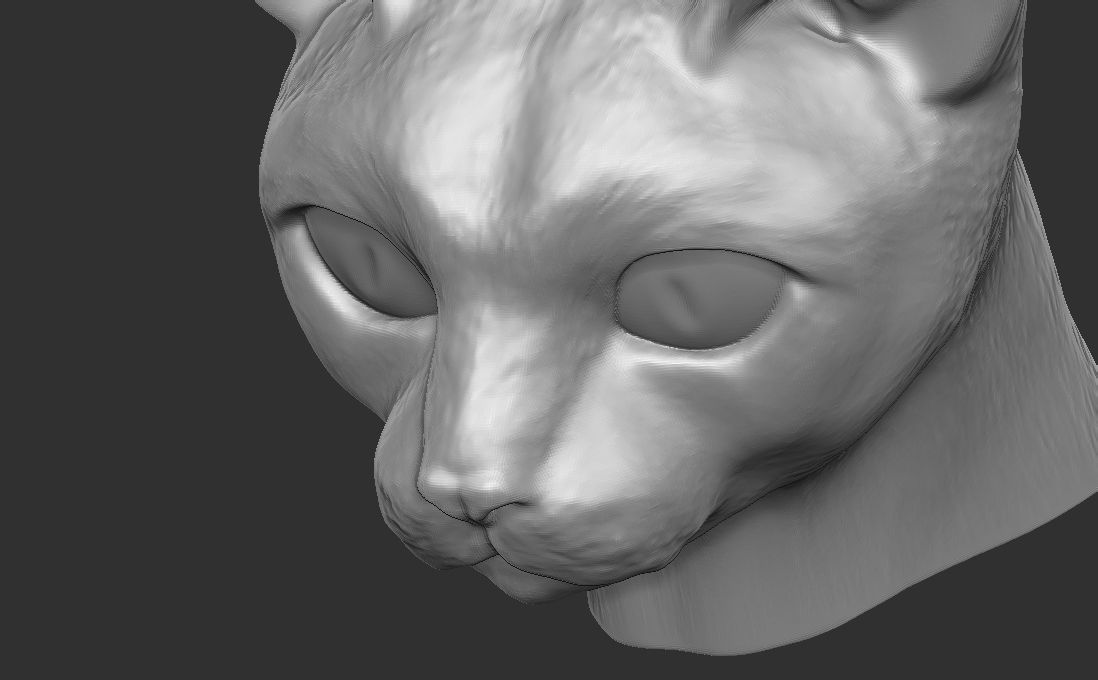 Devon Rex cat head for 3D printing 3D print model_19