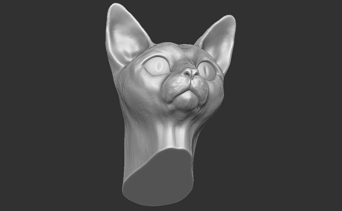 Devon Rex cat head for 3D printing 3D print model_22