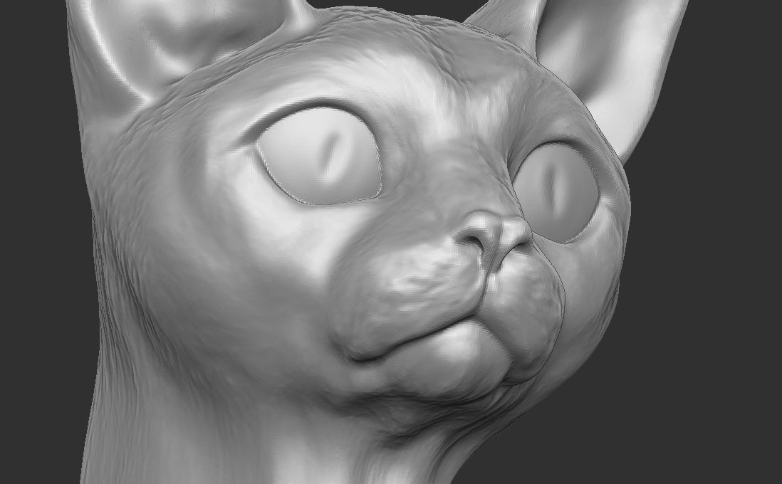 Devon Rex cat head for 3D printing 3D print model_17