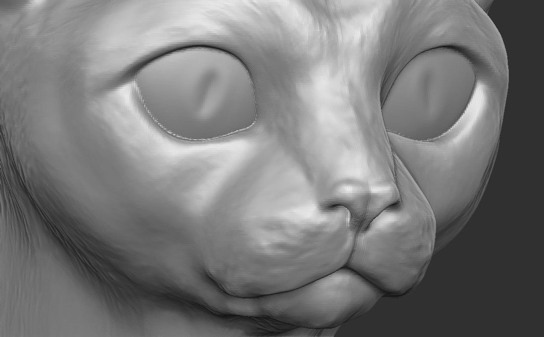 Devon Rex cat head for 3D printing 3D print model_16