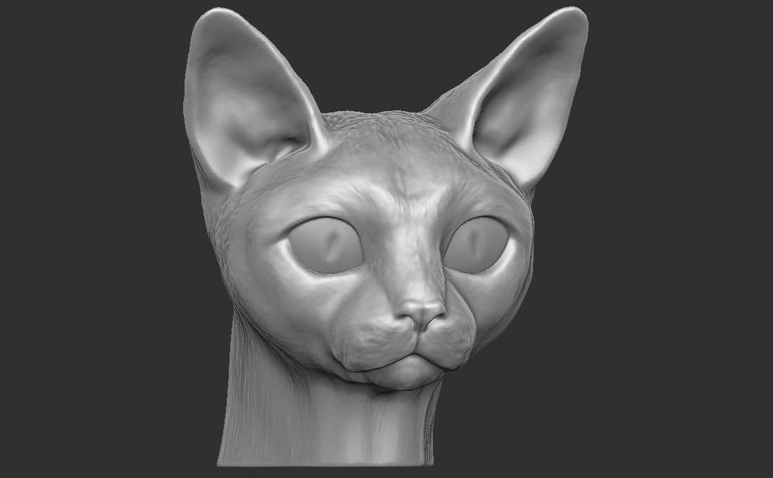 Devon Rex cat head for 3D printing 3D print model_5