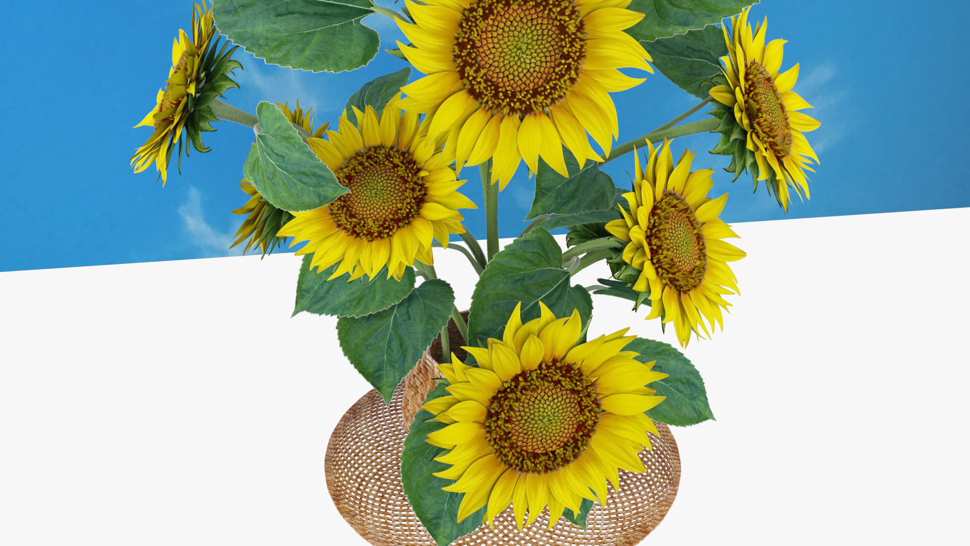 Bouquet of yellow sunflowers with leaves in a basket 3D model_6