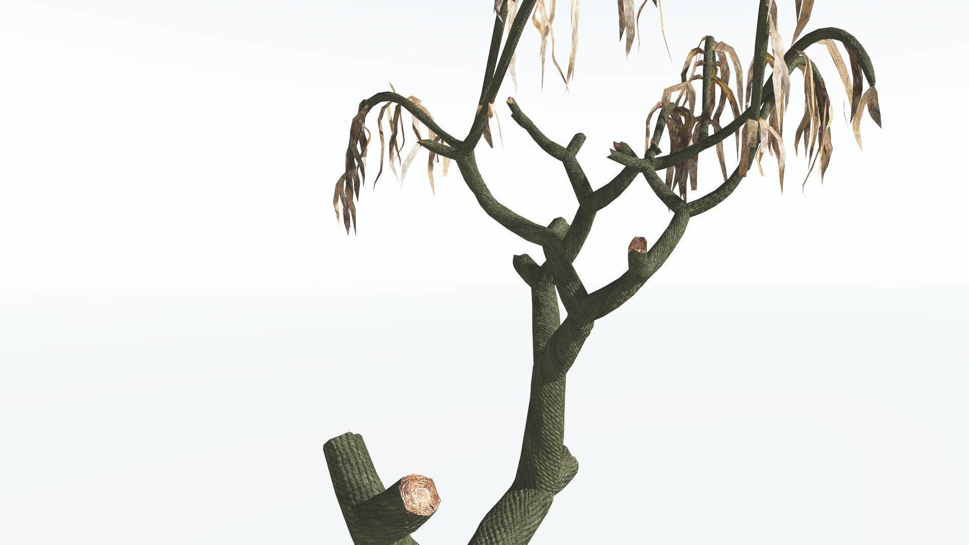 EVERYPlant Lepidodendron Scale Tree 3 --12 Models-- 3D model_11