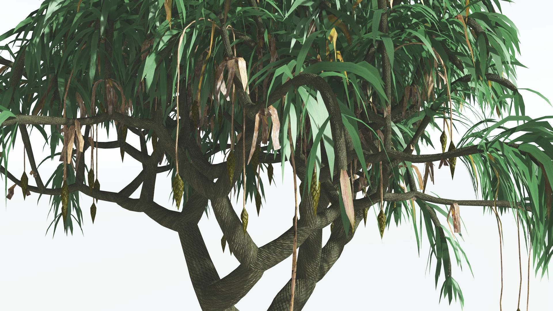 EVERYPlant Lepidodendron Scale Tree 3 --12 Models-- 3D model_3