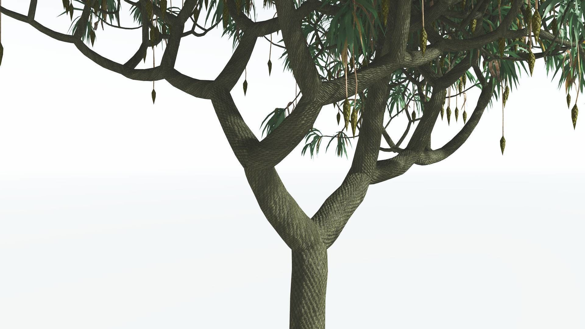 EVERYPlant Lepidodendron Scale Tree 3 --12 Models-- 3D model_15