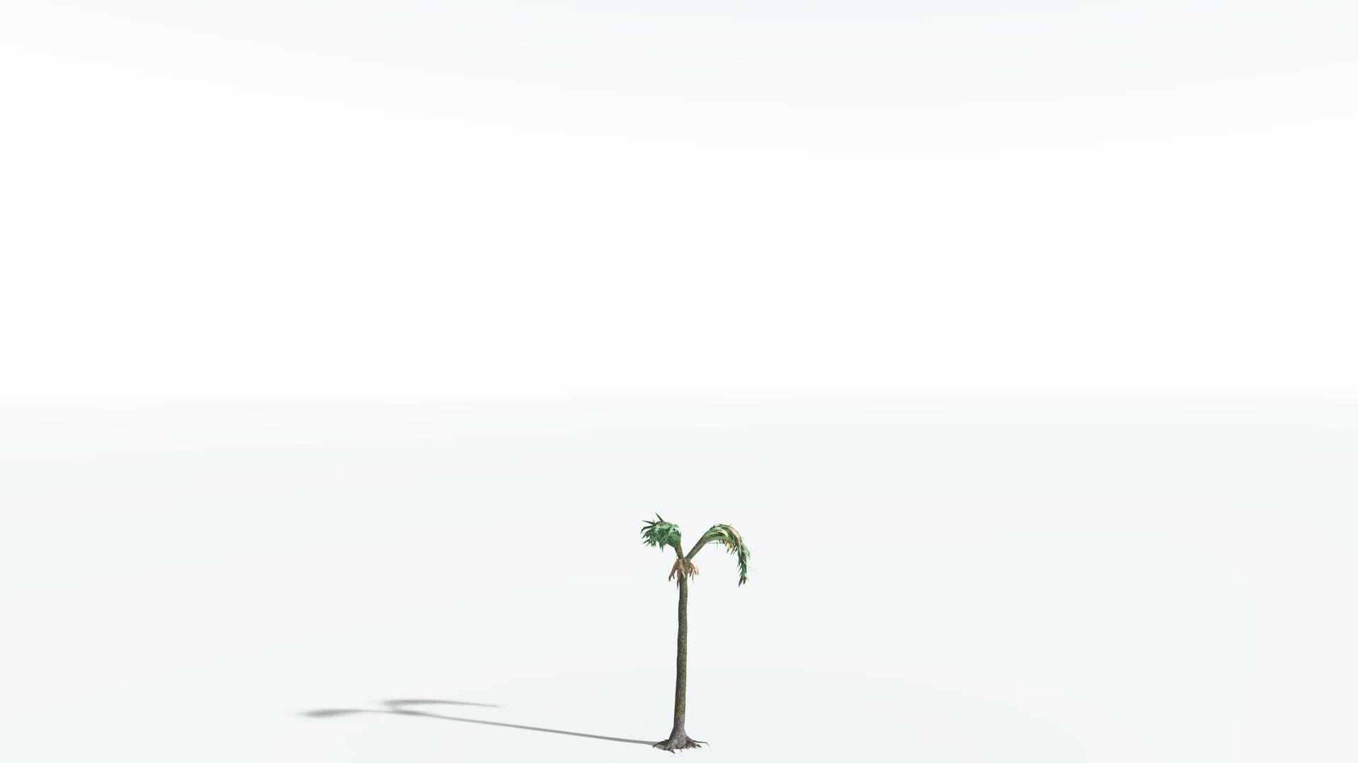 EVERYPlant Lepidodendron Scale Tree 3 --12 Models-- 3D model_18